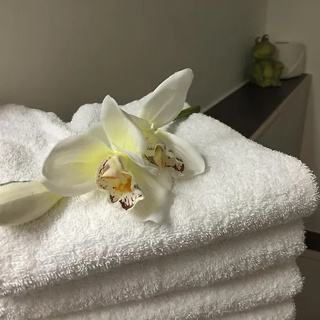 First Domizil Apartamento
